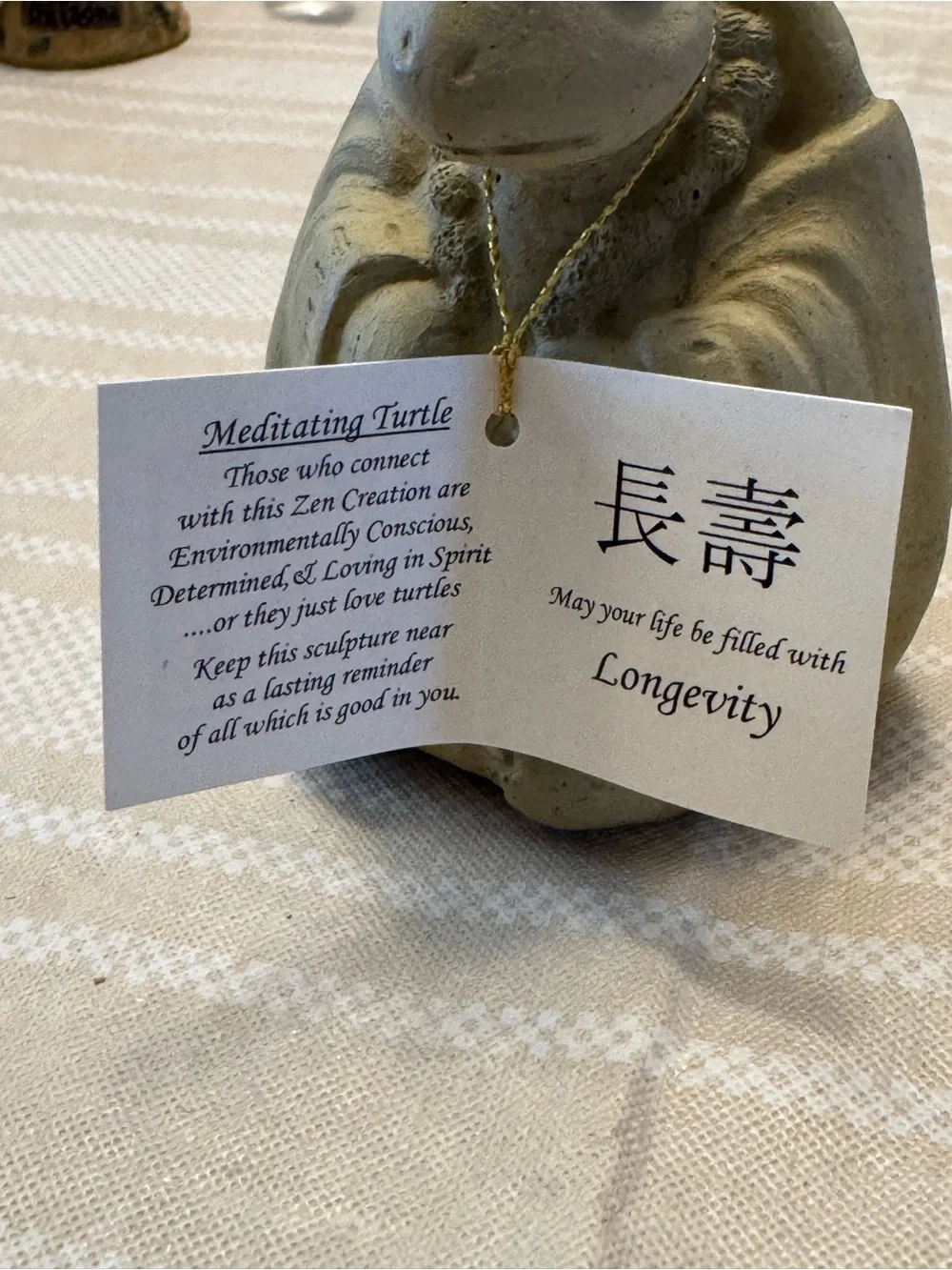 Meditating turtle - Picture 9 of 11